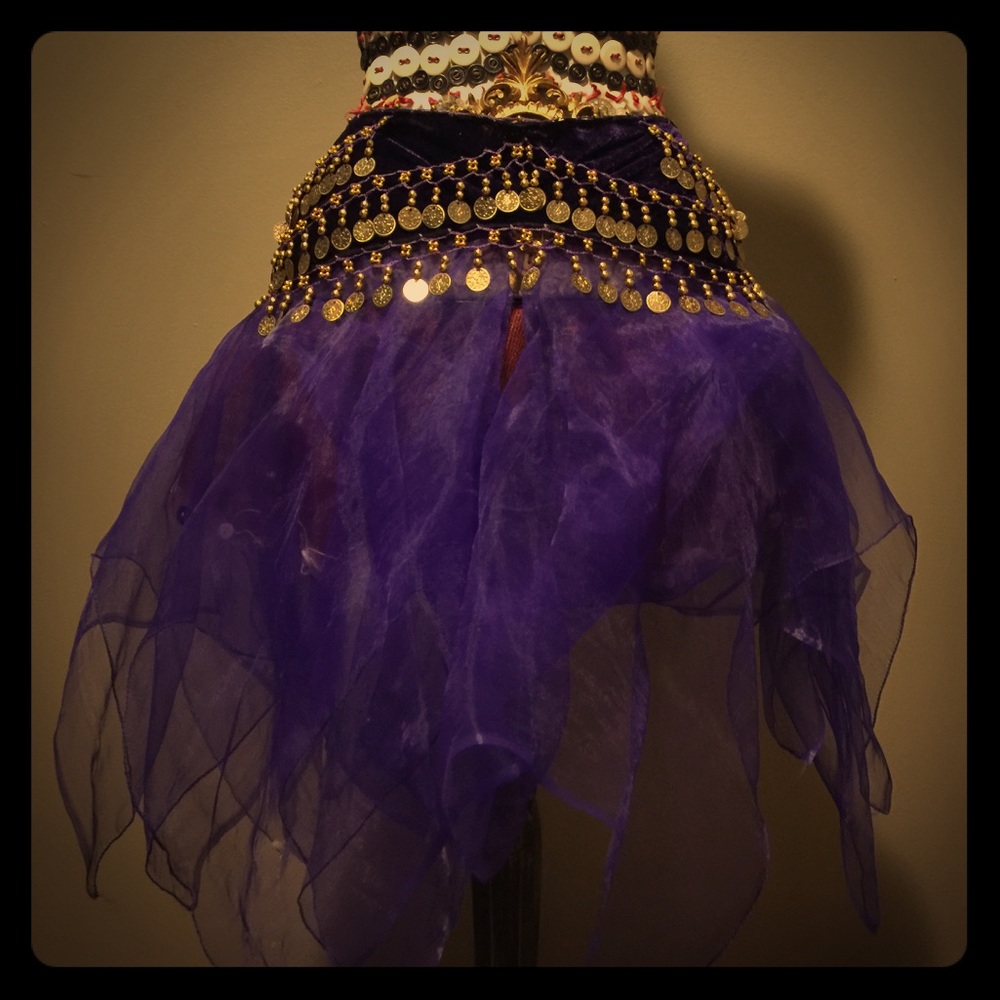 Belly dancer skirt