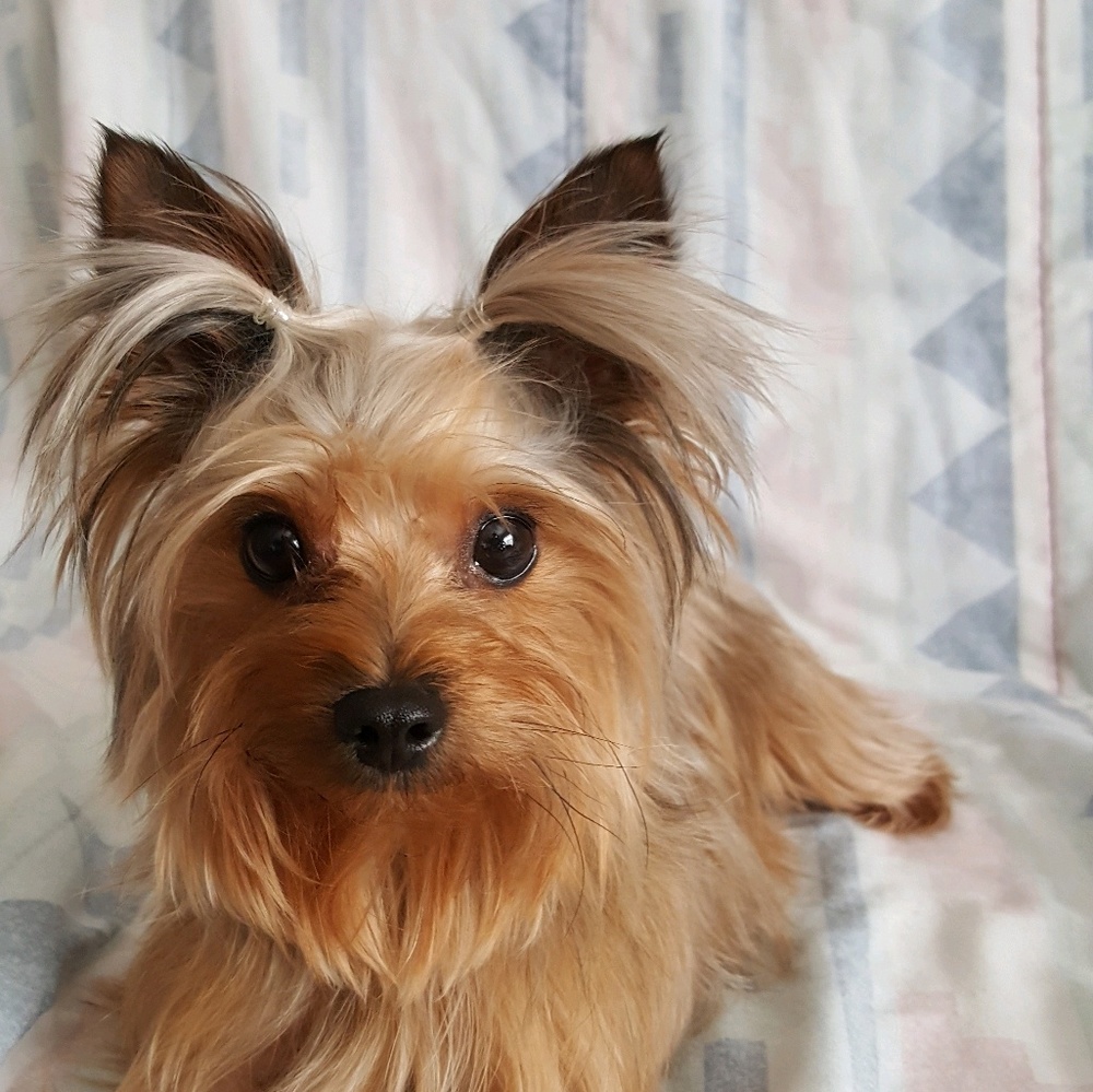 Meet your Posher, Felicitas