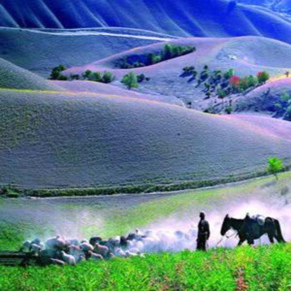 Meet your Posher, Bonnieandclyde