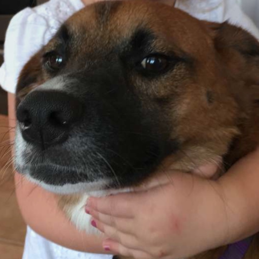 Meet your Posher, Allison