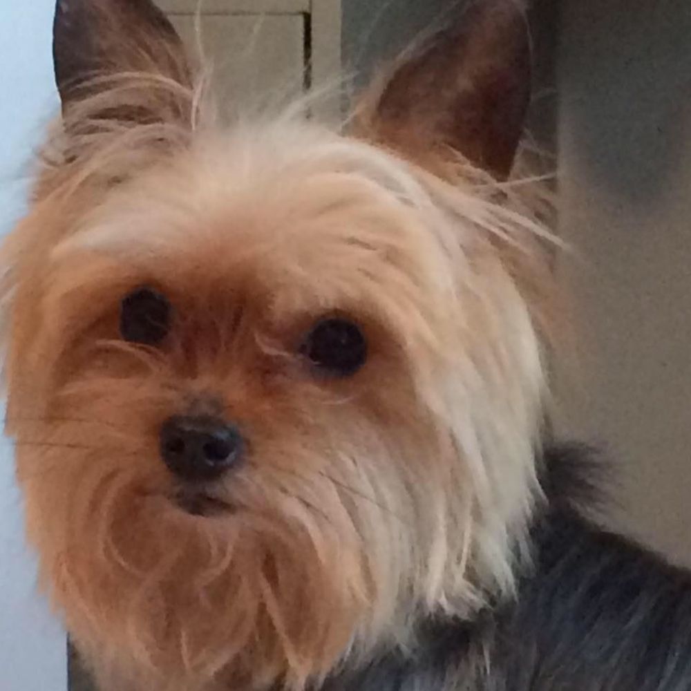 Meet your Posher, Tana