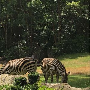 Meet your Posher, Trevar