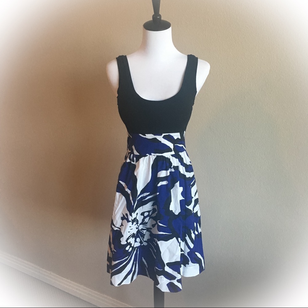 Express Fit & Flare Sundress