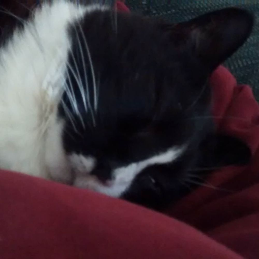 Meet your Posher, Virginia