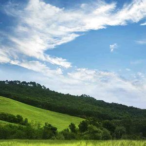 Meet your Posher, Cesar