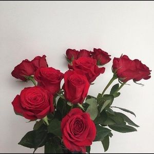 Meet your Posher, Breanna