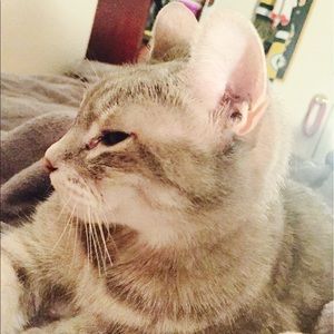 Meet your Posher, Marilyn