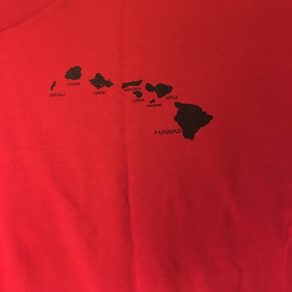 Hawaiian T - Picture 4 of 5