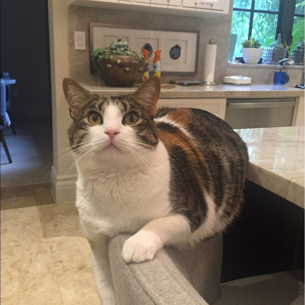 Meet your Posher, Margie