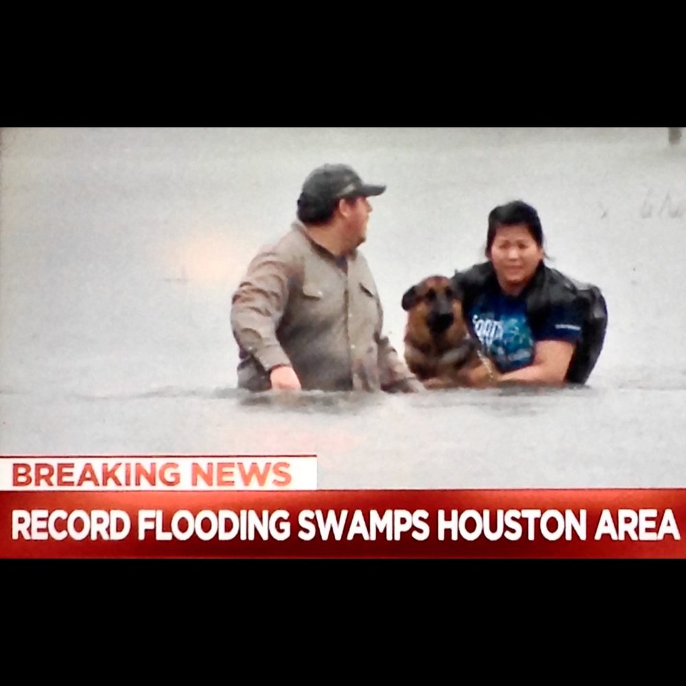 👧🏻 Help Hurricane Harvey Humans‼️