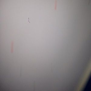 Meet your Posher, Manuel