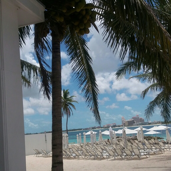 Meet your Posher, Charo - Picture 2 of 2