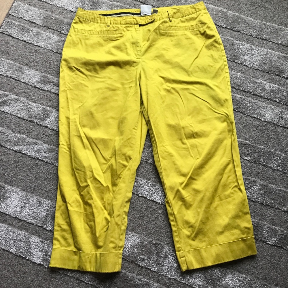 Capri Pants Size 14