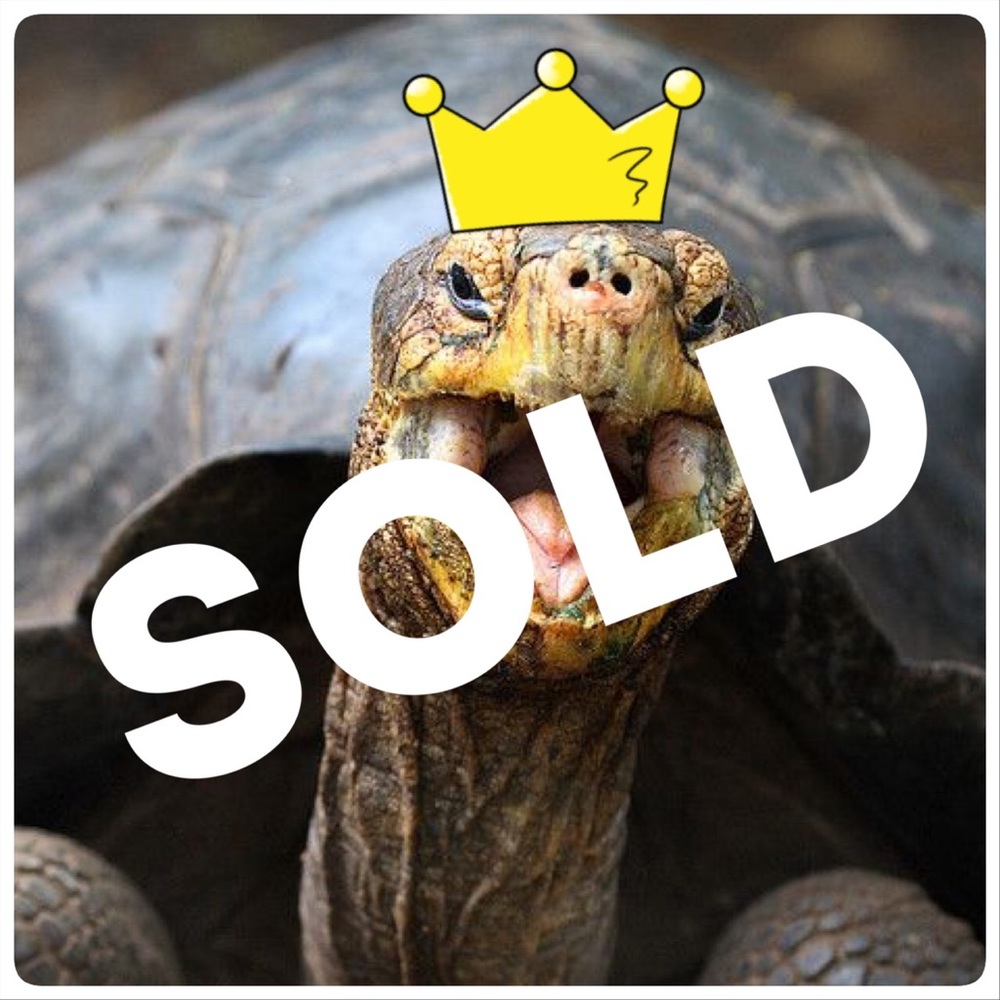 Sold Listings Below