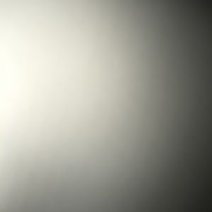 Meet your Posher, Vivian