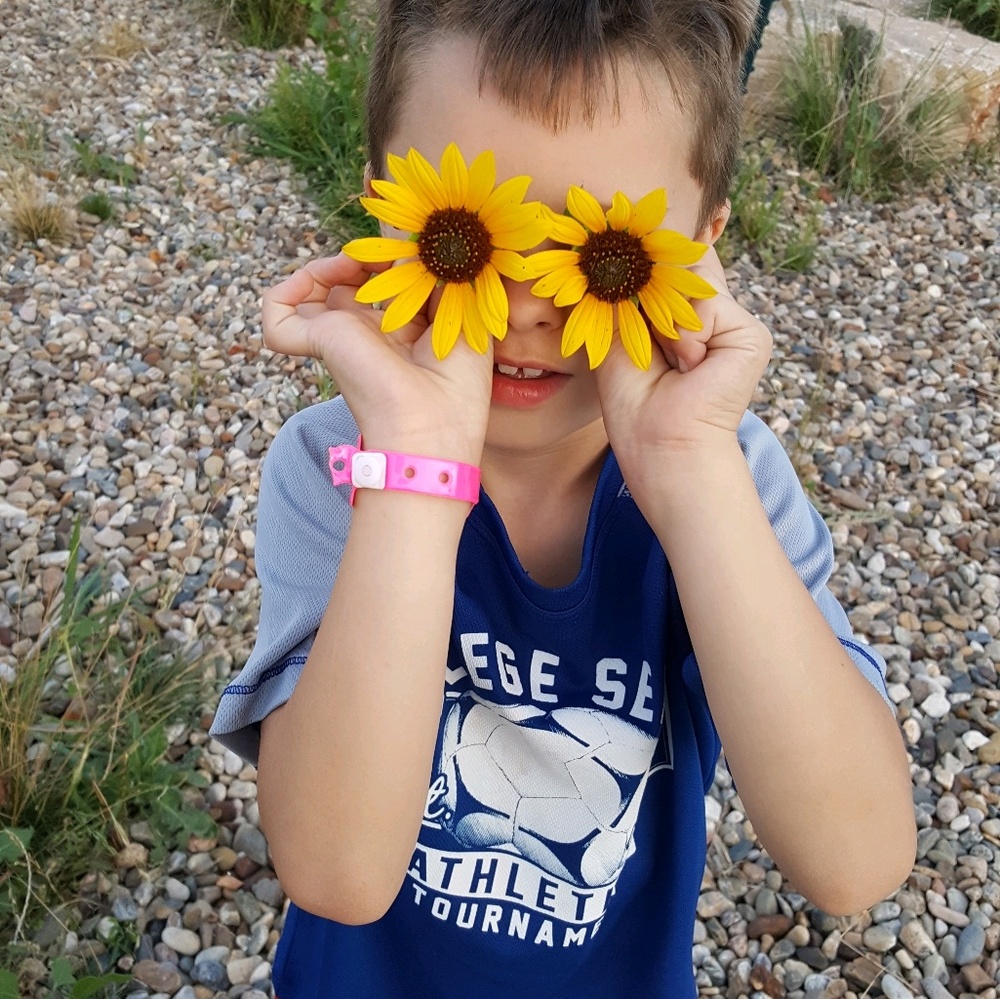 Meet your Posher, Misty