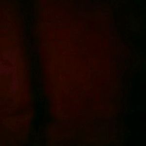 Meet your Posher, Archie