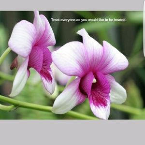 Meet your Posher, Fozia