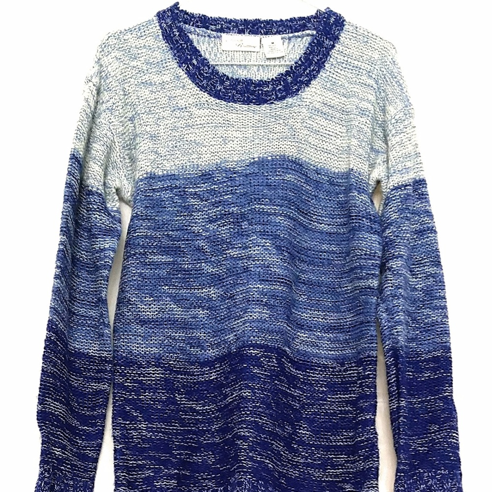 Allison Brittney Light and Dark Blue Sweater M