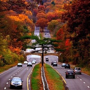 Meet your Posher, Tamora