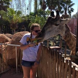 Meet your Posher, Chelsea