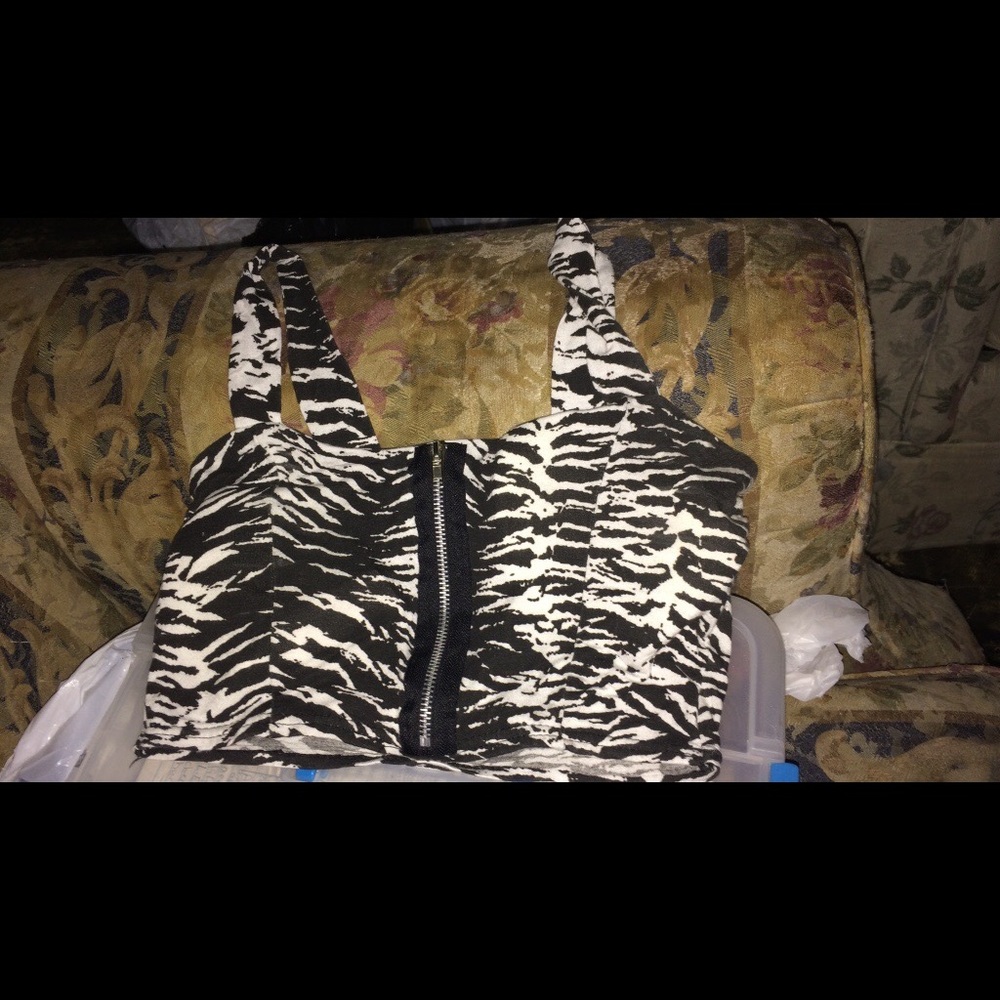 Zebra belly showing tank