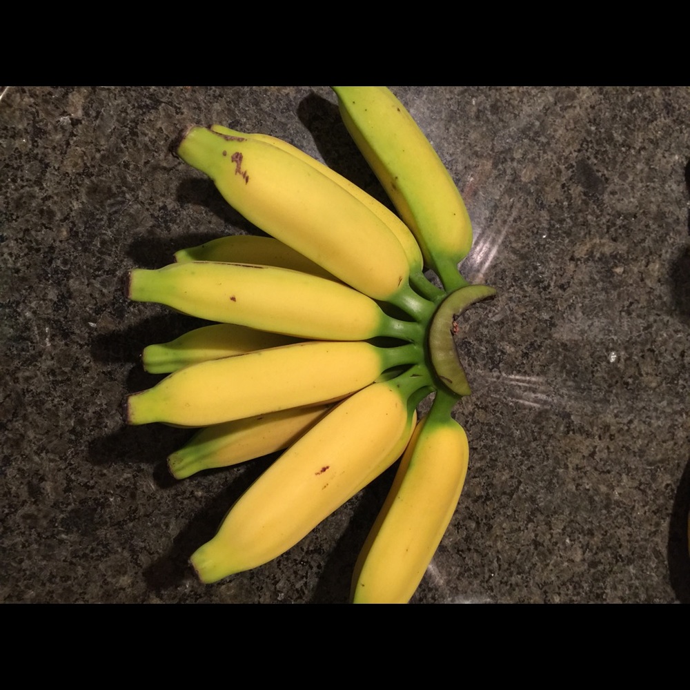 Meet your Posher, Ohana