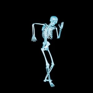 Meet your Posher, Seth