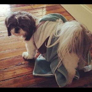 Meet your Posher, Ruddy