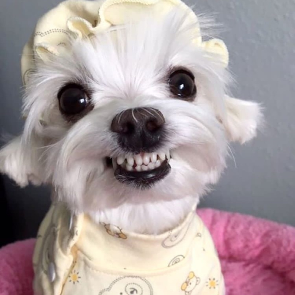 Meet your Posher, Cami