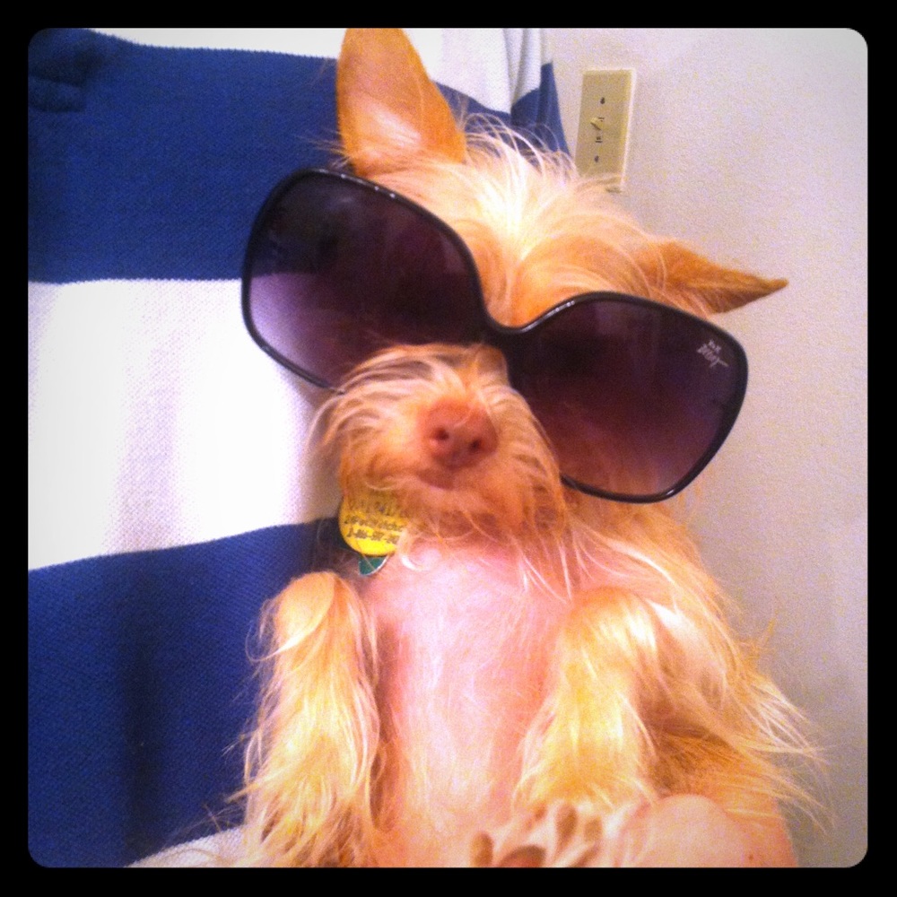 Meet your Posher, Kym