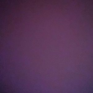 Meet your Posher, Ellen