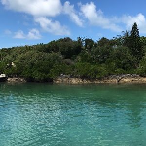 Meet your Posher, Noah