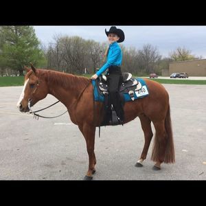 Meet your Posher, Kamryn