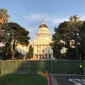 Meet your Posher, Sam