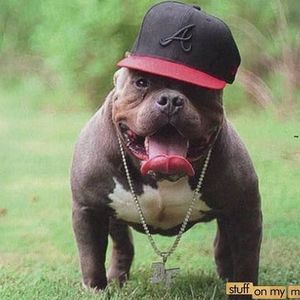 Meet your Posher, Ian