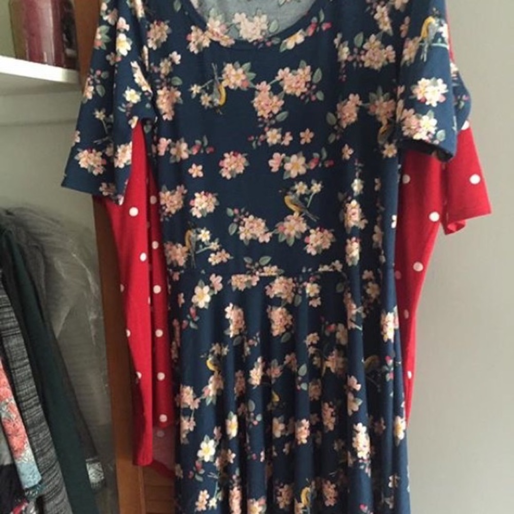 Lularoe Nicole XL