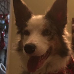 Meet your Posher, Sally