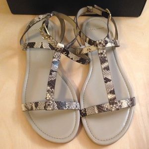 Cole Haan Faux Snake Skin Sandals - New with Box
