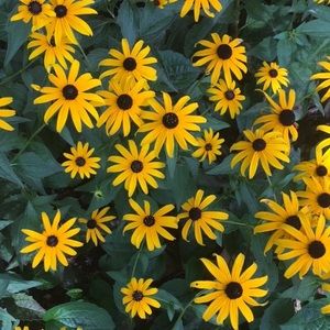 Meet your Posher, Kaley