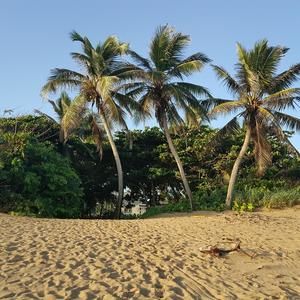 Meet your Posher, Abbey