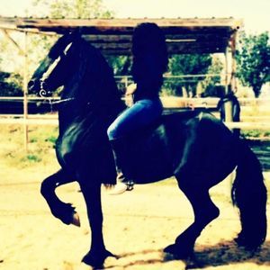 Meet your Posher, Allen eli