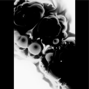 Meet your Posher, Isiah