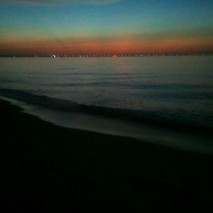 Meet your Posher, Tasha