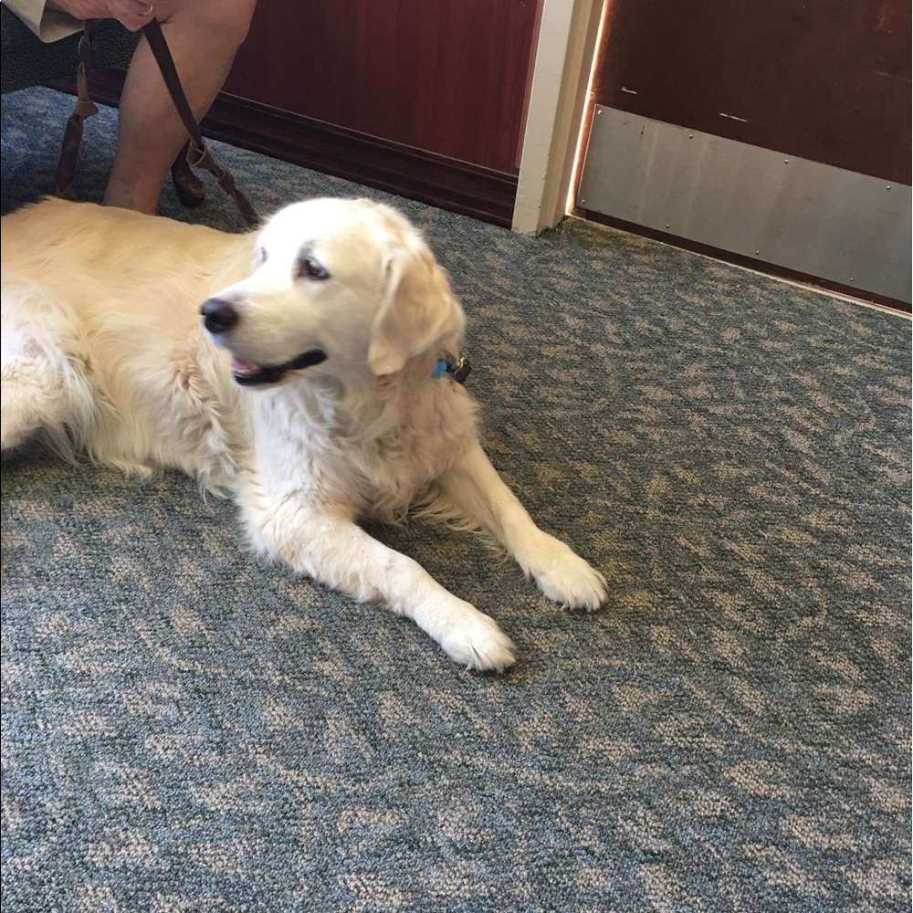 Meet your Posher, Mary