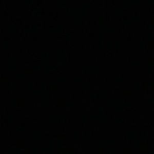 Meet your Posher, Jose