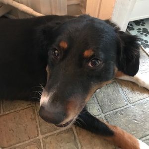 Meet your Posher, Edna