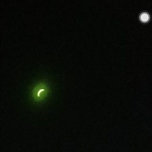 Meet your Posher, Curtis