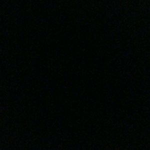 Meet your Posher, Everett