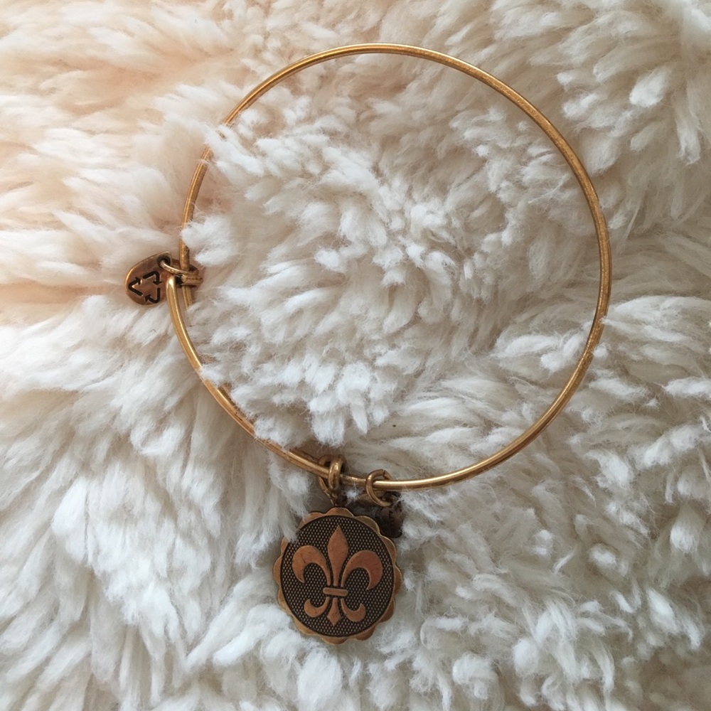 Alex and Ani charm bracelet